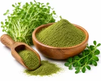 Alfalfa Powder