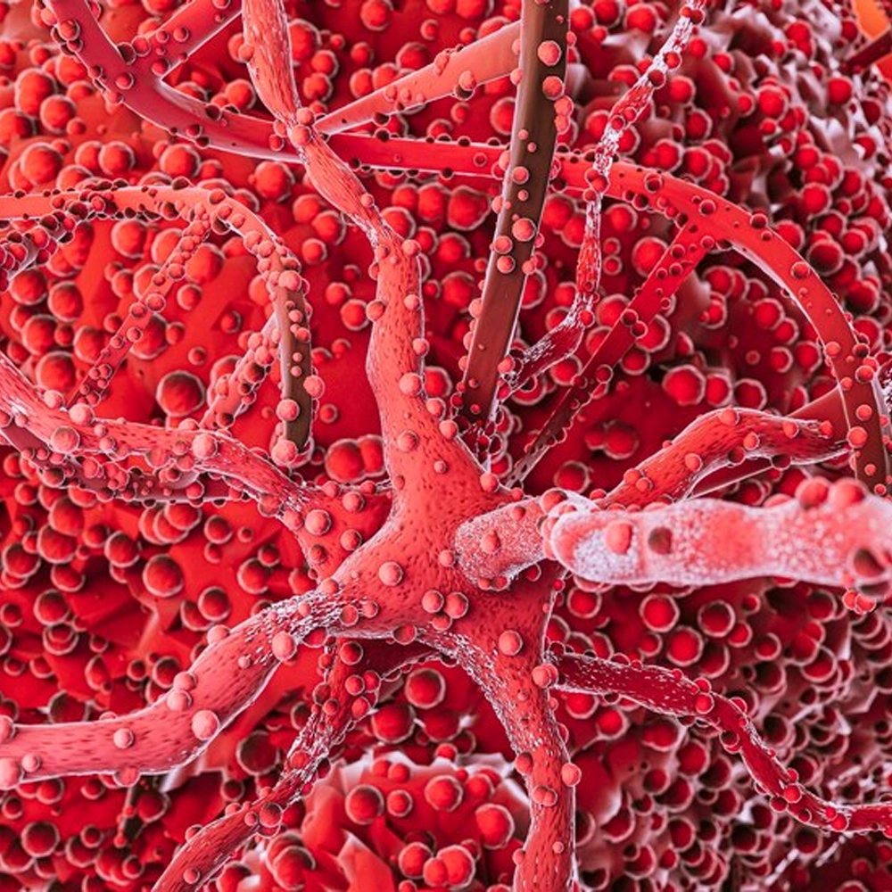 BloodPril Benefits 2