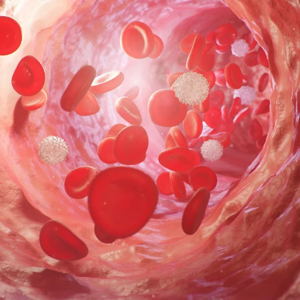 BloodPril Benefits 3