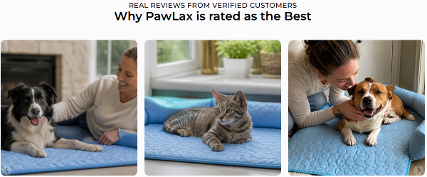 PawLax Cooling Mat user